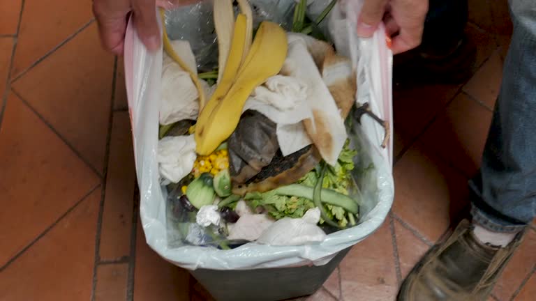  Pleasant Valley, WV Junk Removal Services Pros